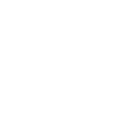 Data Insight